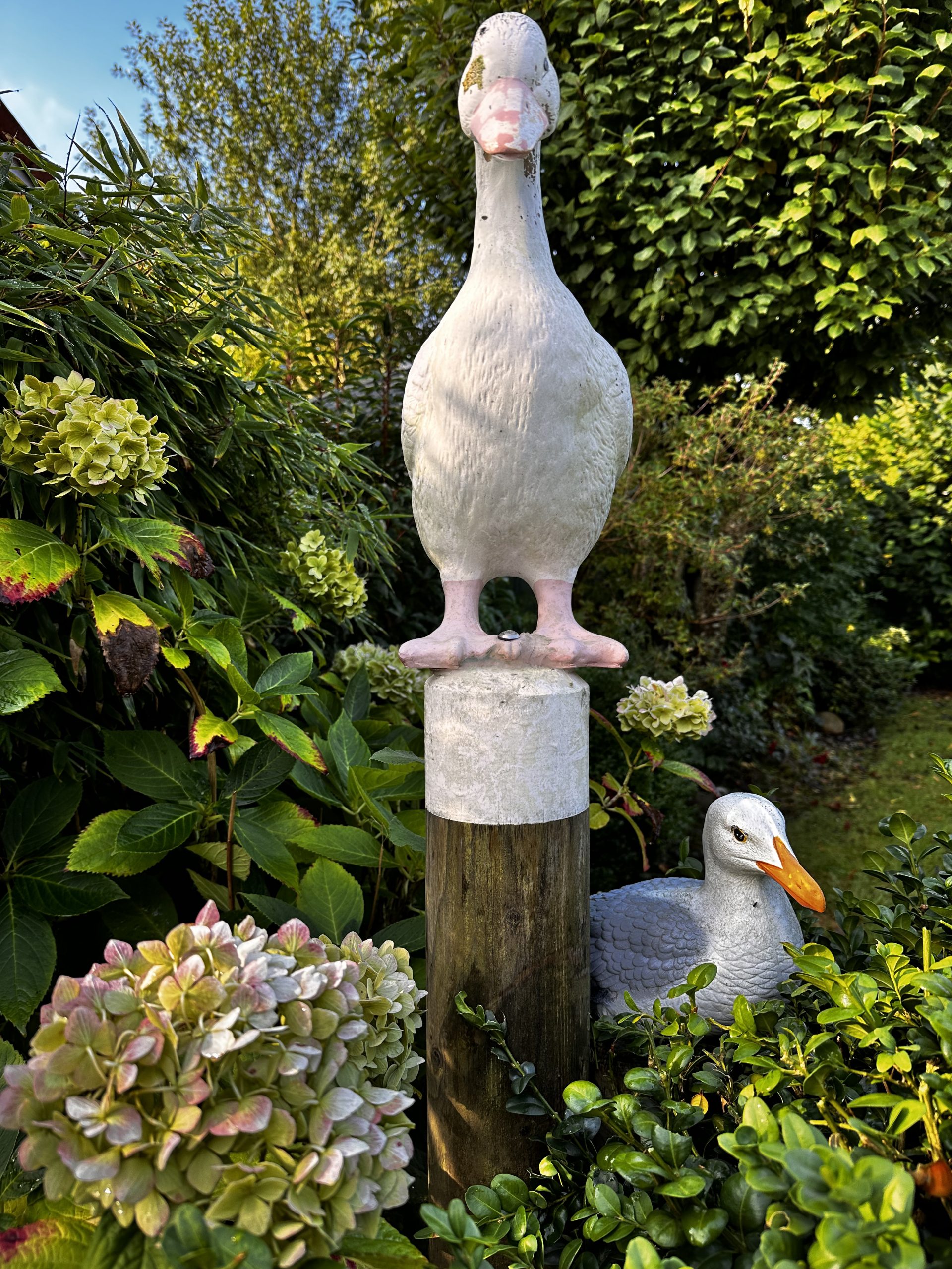 Garten & Terasse