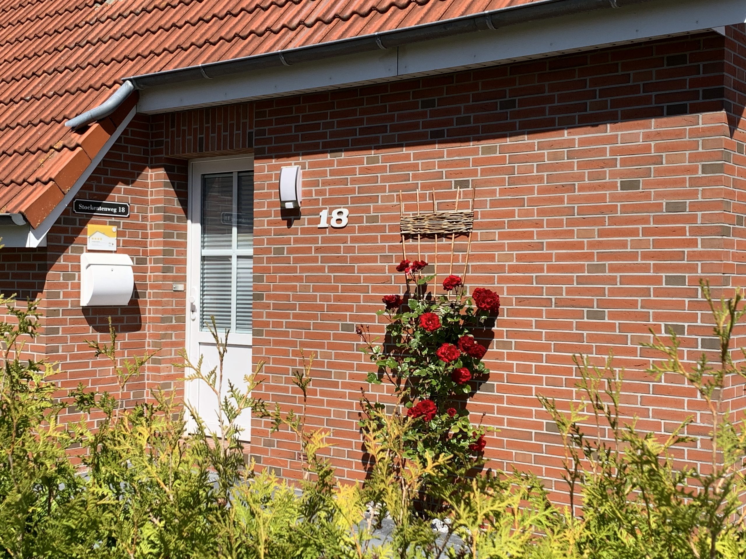 Garten, Terasse & Außenbereich