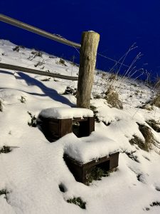 IMG_0332