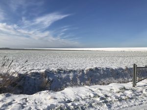 IMG_0718