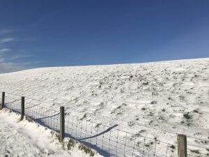 IMG_0721