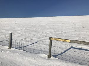 IMG_0723