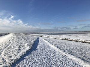 IMG_0734