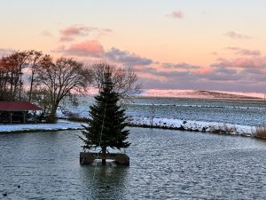 IMG_1019