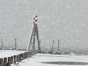 IMG_1224