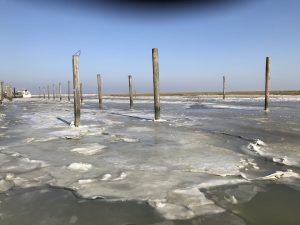 IMG_2571