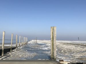 IMG_2591