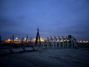 IMG_5885