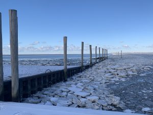 IMG_9788