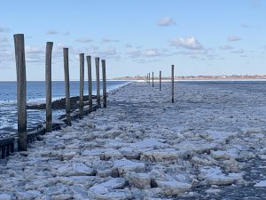 IMG_9789