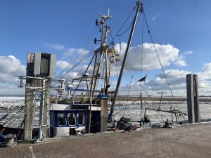 IMG_9795