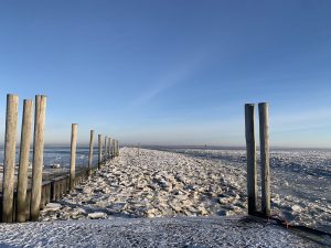 IMG_9829