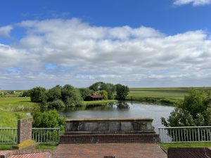 IMG_9936