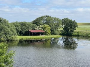 IMG_9940