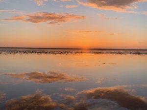 IMG_1730