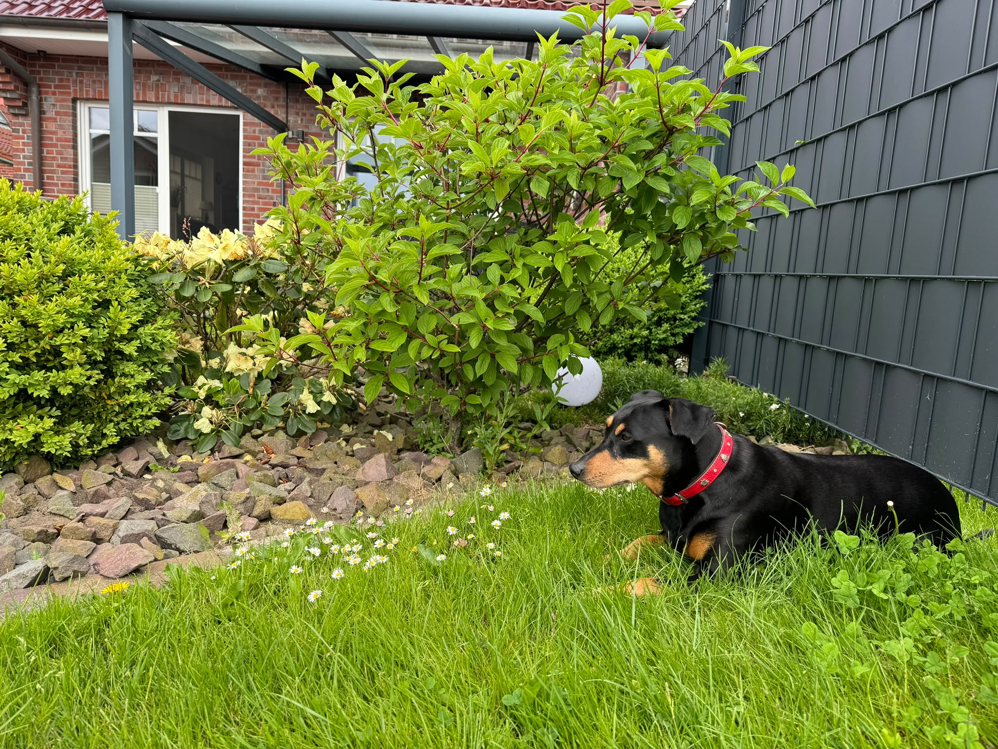 Garten, Terrasse & Außenbereich