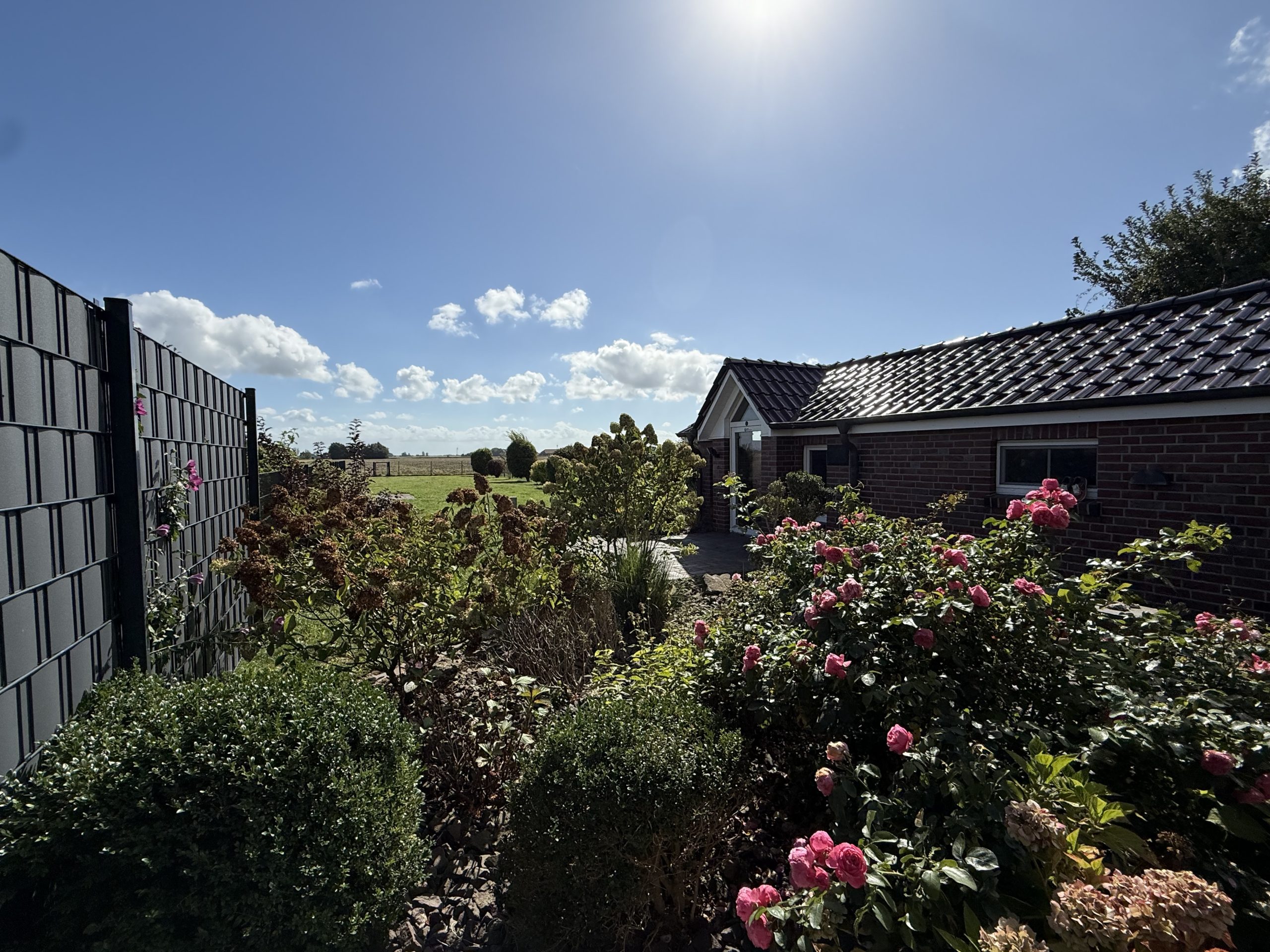Garten, Terrasse & Außenbereich