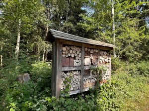 WhatsApp Image 2026-10-01 at 07.17.58 (1)