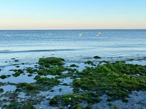WhatsApp Image 2026-10-01 at 07.17.58 (7)